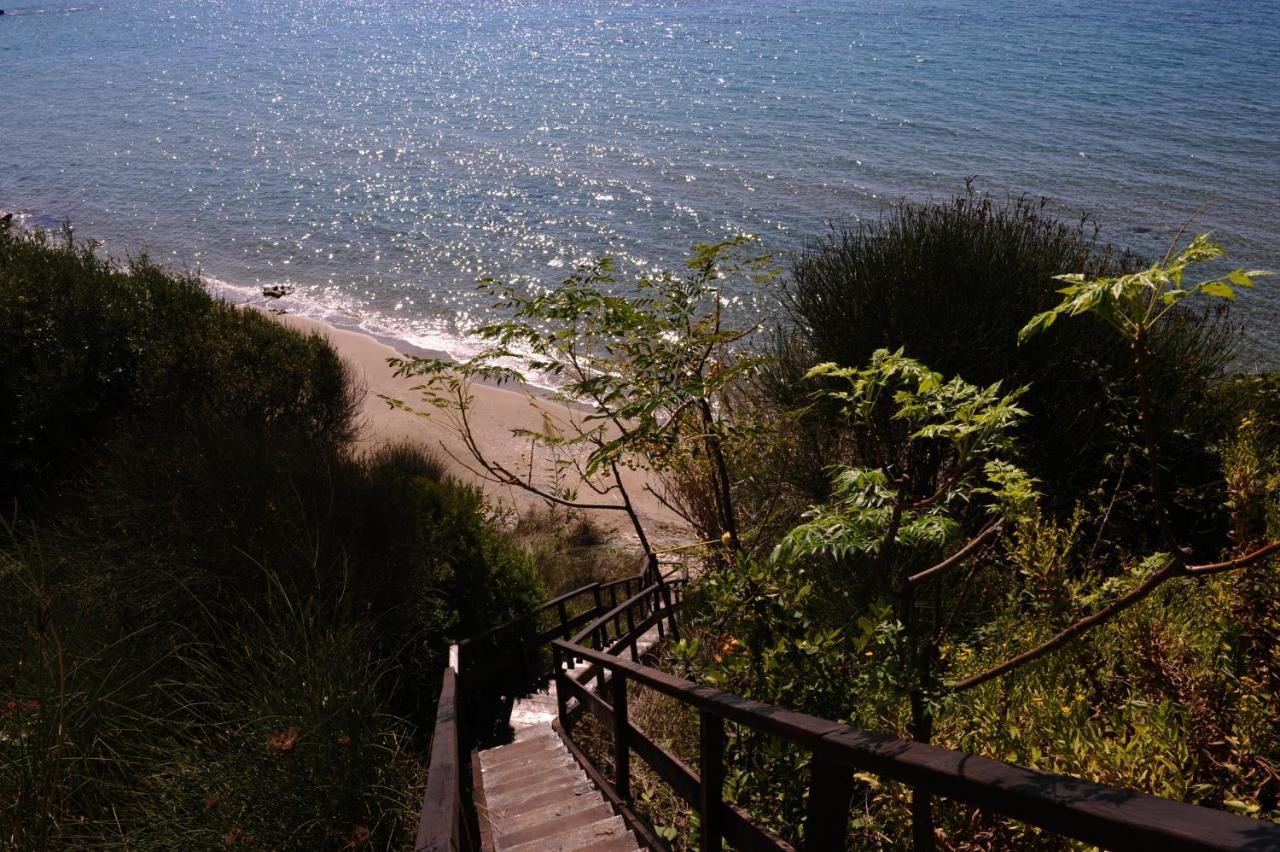 Beachfront Villa Meliti Agios Matthaios  Exterior photo